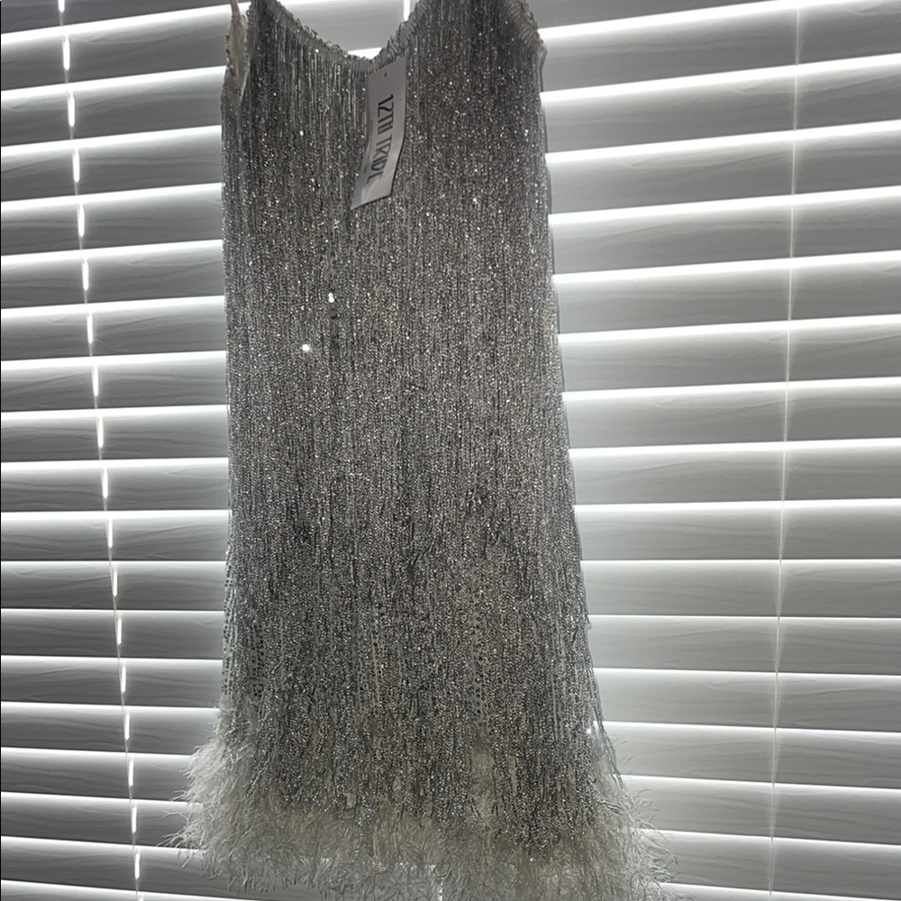 Silver Sequin Fringe Dress